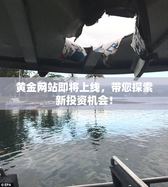 黄金网站即将上线，带您探索新投资机会！