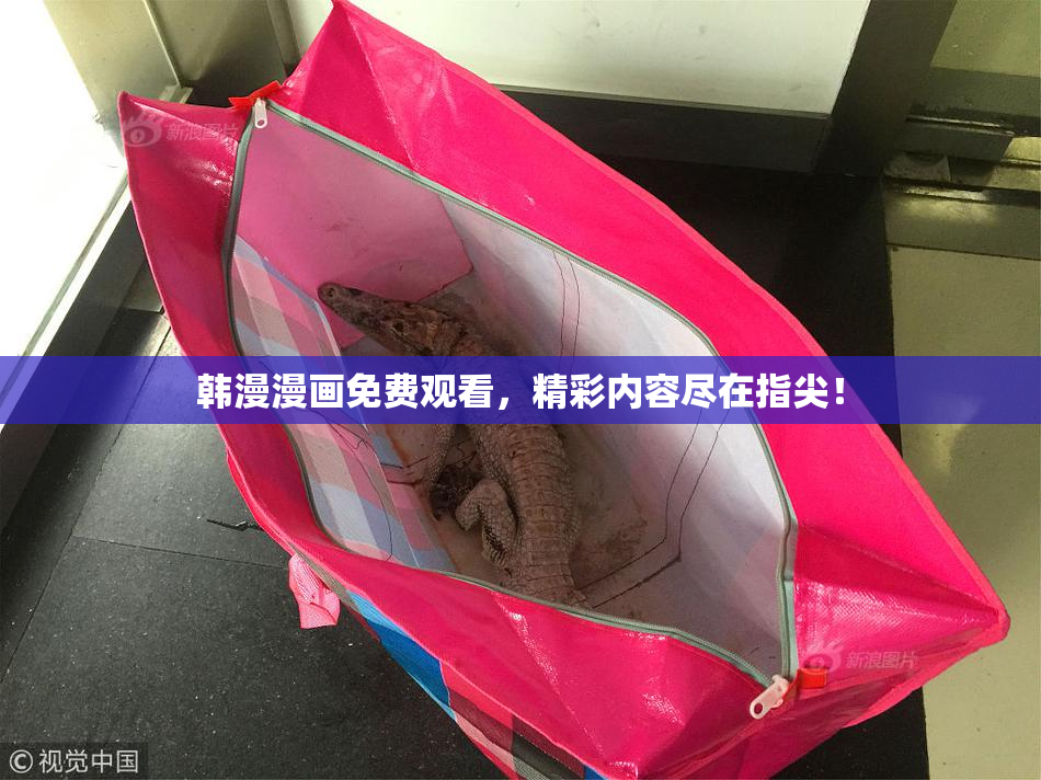 韩漫漫画免费观看，精彩内容尽在指尖！