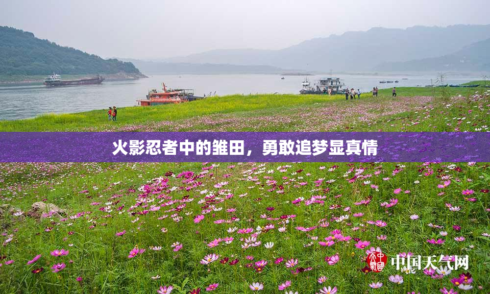 火影忍者中的雏田，勇敢追梦显真情