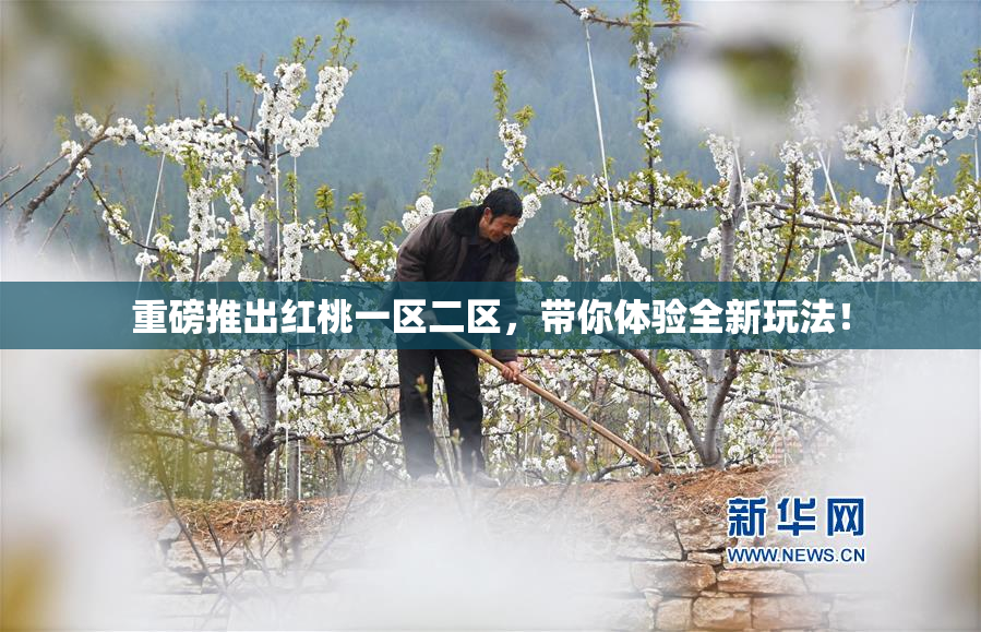 重磅推出红桃一区二区，带你体验全新玩法！