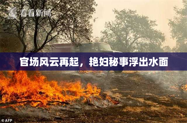 官场风云再起，艳妇秘事浮出水面