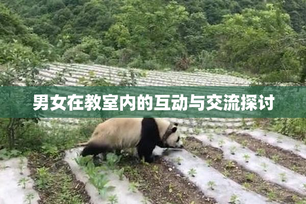 男女在教室内的互动与交流探讨