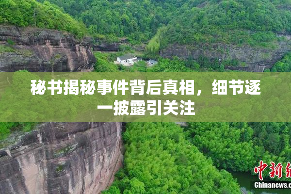 秘书揭秘事件背后真相，细节逐一披露引关注