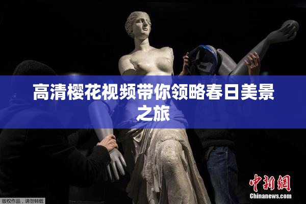高清樱花视频带你领略春日美景之旅