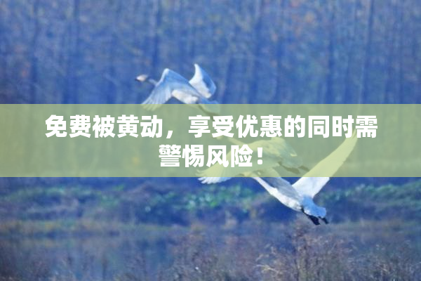 免费被黄动，享受优惠的同时需警惕风险！