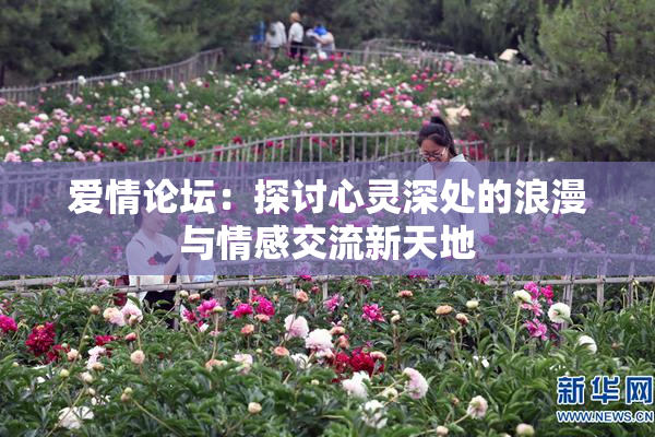 爱情论坛：探讨心灵深处的浪漫与情感交流新天地
