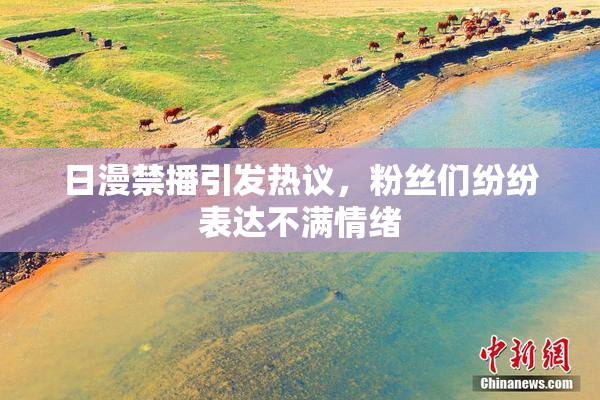 日漫禁播引发热议，粉丝们纷纷表达不满情绪