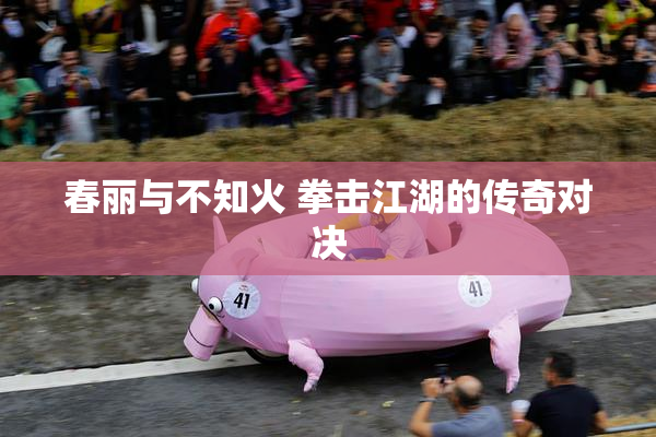 春丽与不知火 拳击江湖的传奇对决