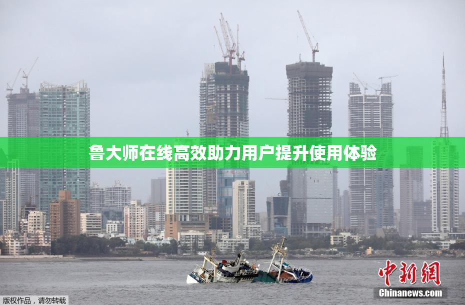 鲁大师在线高效助力用户提升使用体验