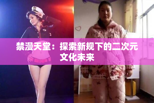 禁漫天堂：探索新规下的二次元文化未来