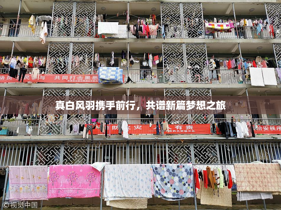 真白风羽携手前行，共谱新篇梦想之旅