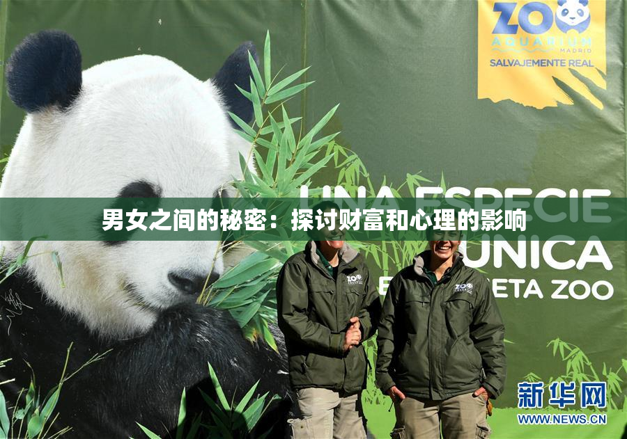 男女之间的秘密：探讨财富和心理的影响