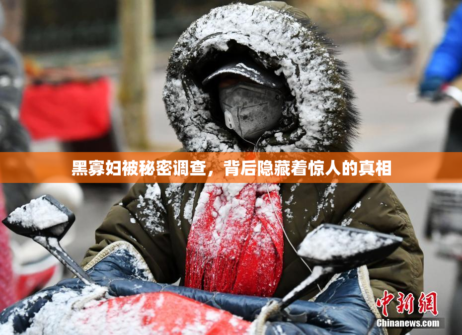 黑寡妇被秘密调查，背后隐藏着惊人的真相