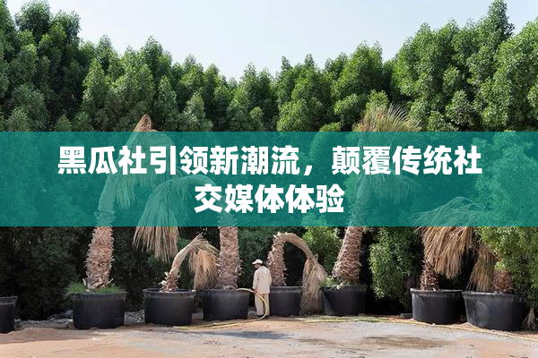 黑瓜社引领新潮流，颠覆传统社交媒体体验