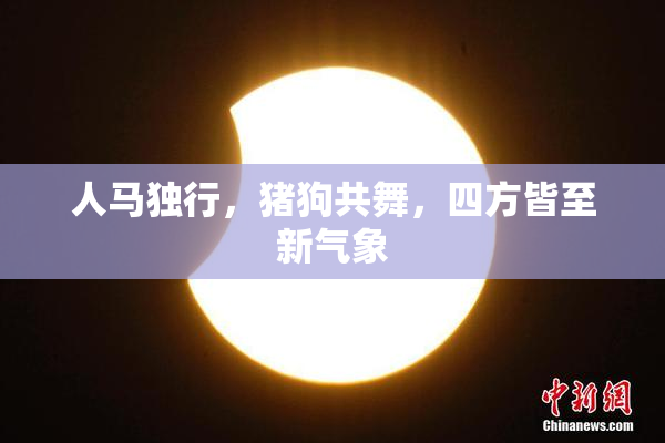 人马独行，猪狗共舞，四方皆至新气象