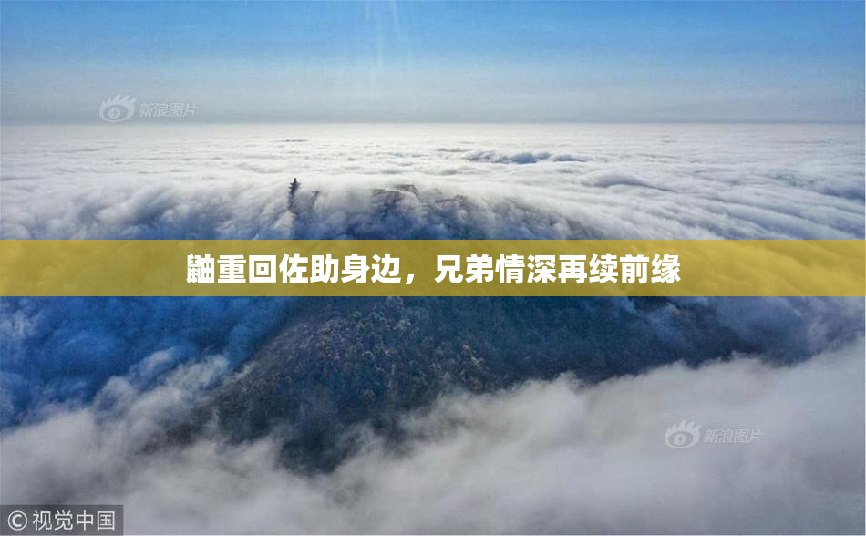 鼬重回佐助身边，兄弟情深再续前缘