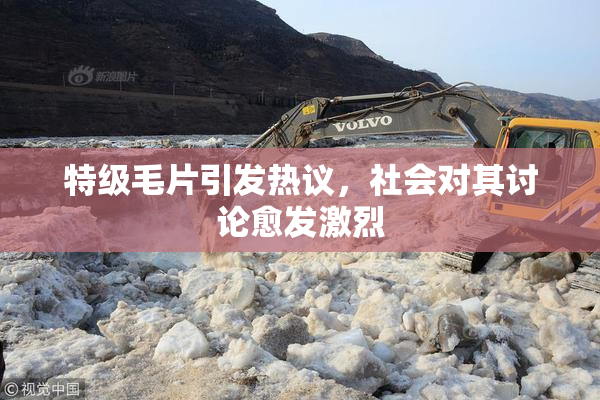 特级毛片引发热议，社会对其讨论愈发激烈