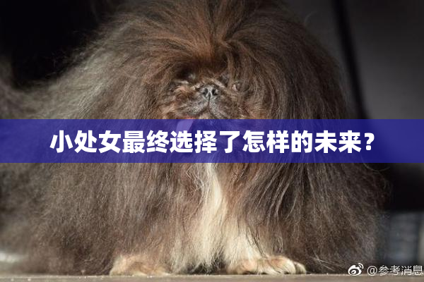 小处女最终选择了怎样的未来？