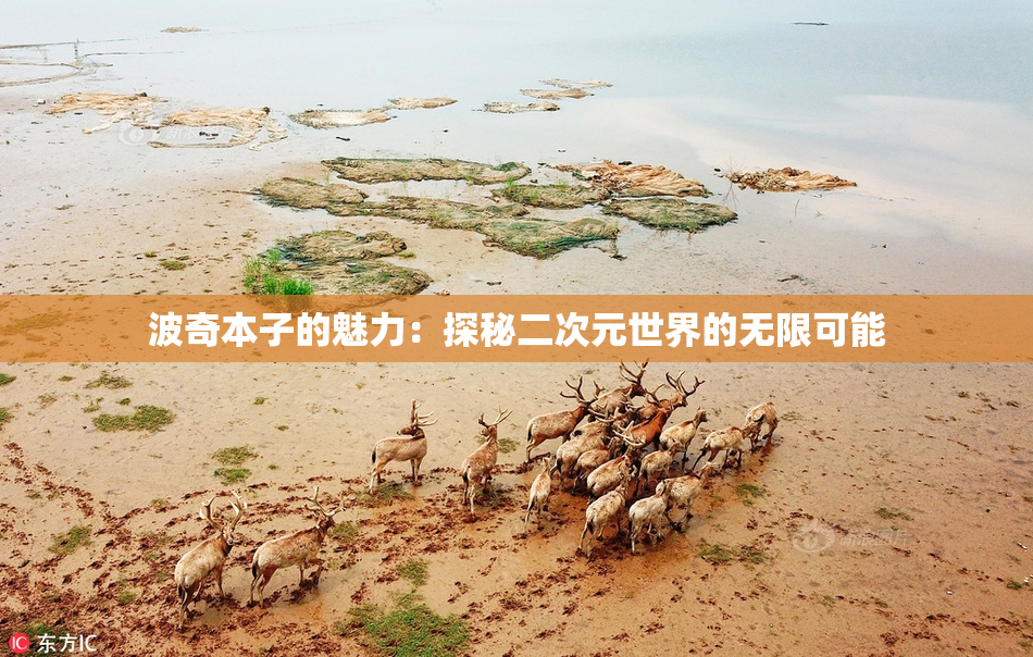 波奇本子的魅力：探秘二次元世界的无限可能