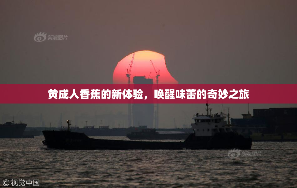 黄成人香蕉的新体验，唤醒味蕾的奇妙之旅