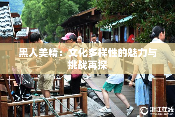 黑人美精：文化多样性的魅力与挑战再探