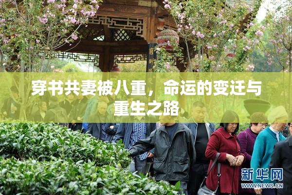 穿书共妻被八重，命运的变迁与重生之路