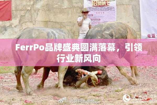 FerrPo品牌盛典圆满落幕，引领行业新风向