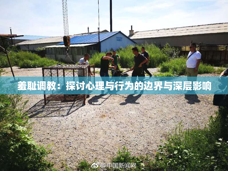 羞耻调教：探讨心理与行为的边界与深层影响