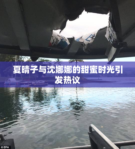 夏晴子与沈娜娜的甜蜜时光引发热议