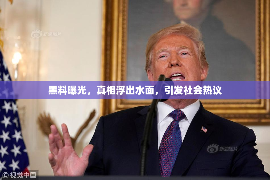 黑料曝光，真相浮出水面，引发社会热议
