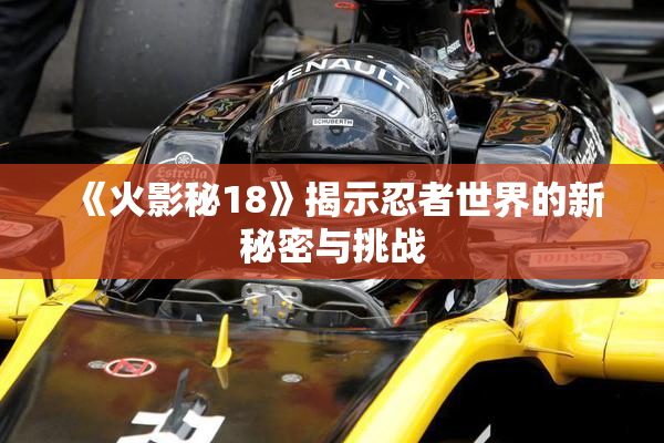 《火影秘18》揭示忍者世界的新秘密与挑战