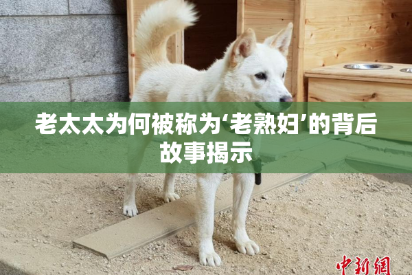 老太太为何被称为‘老熟妇’的背后故事揭示