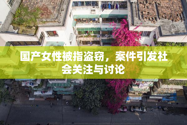 国产女性被指盗窃，案件引发社会关注与讨论