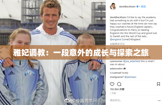 雅妃调教：一段意外的成长与探索之旅
