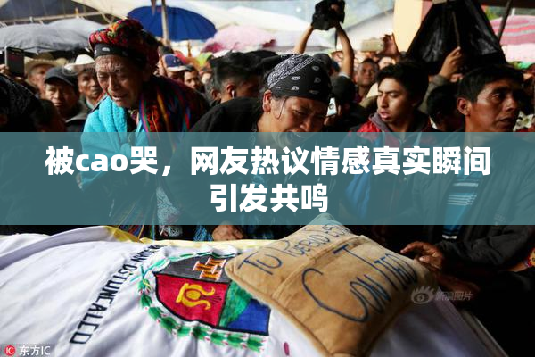 被cao哭，网友热议情感真实瞬间引发共鸣