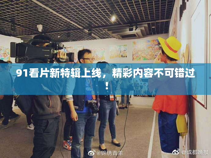 91看片新特辑上线，精彩内容不可错过！