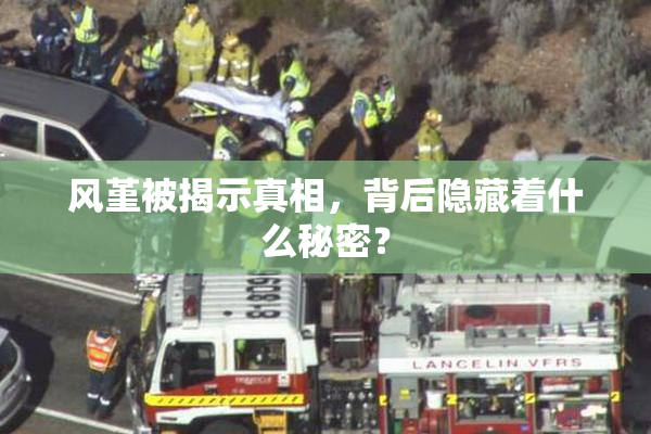 风堇被揭示真相，背后隐藏着什么秘密？