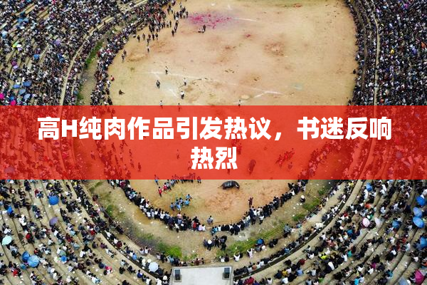 高H纯肉作品引发热议，书迷反响热烈