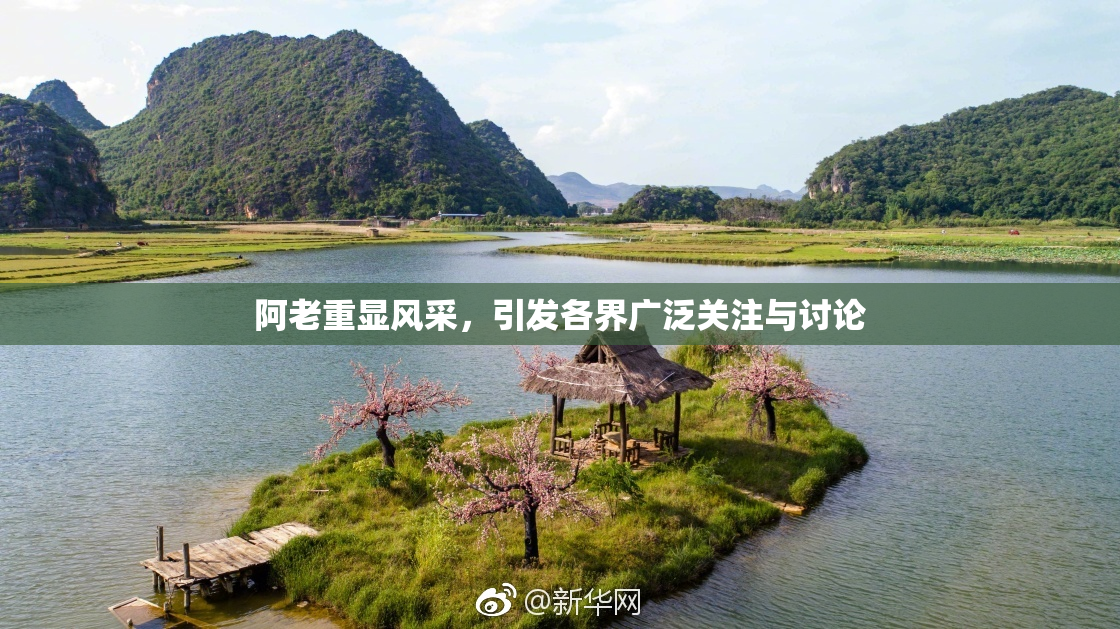 阿老重显风采，引发各界广泛关注与讨论