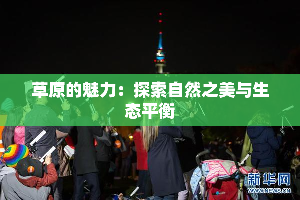 草原的魅力：探索自然之美与生态平衡