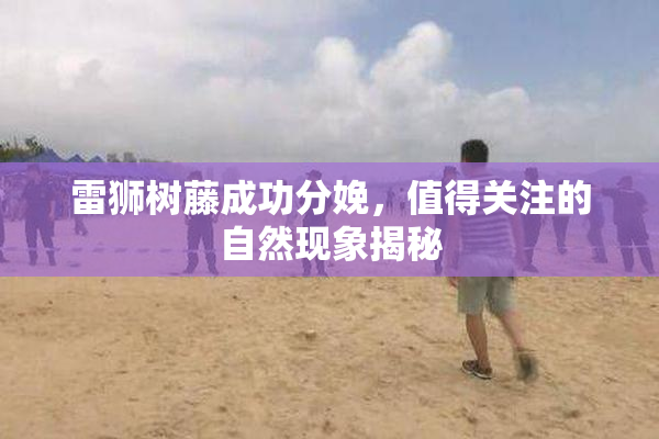 雷狮树藤成功分娩，值得关注的自然现象揭秘