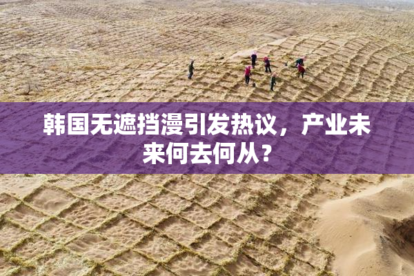 韩国无遮挡漫引发热议，产业未来何去何从？