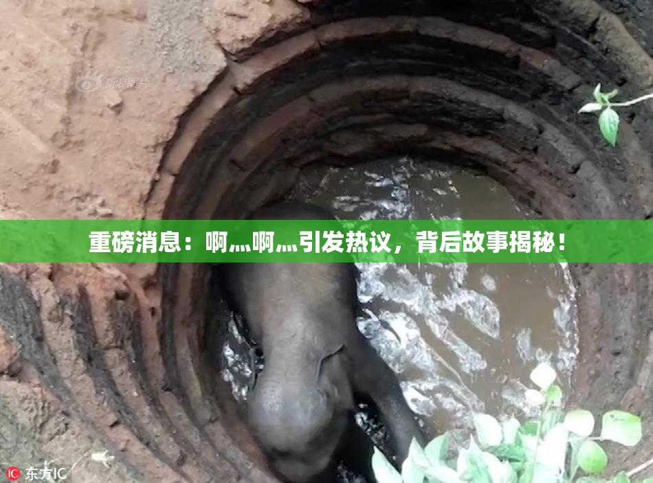 重磅消息：啊灬啊灬引发热议，背后故事揭秘！