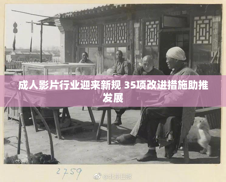 成人影片行业迎来新规 35项改进措施助推发展