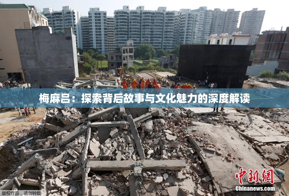 梅麻吕：探索背后故事与文化魅力的深度解读