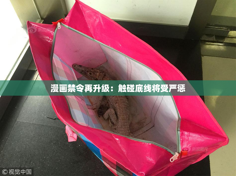 漫画禁令再升级：触碰底线将受严惩