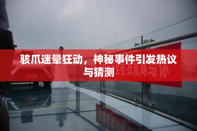 骇爪迷晕狂动，神秘事件引发热议与猜测