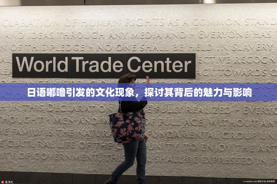日语嘟噜引发的文化现象，探讨其背后的魅力与影响