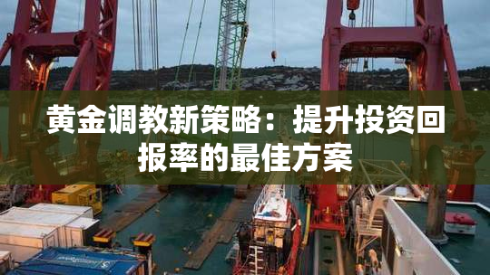 黄金调教新策略：提升投资回报率的最佳方案