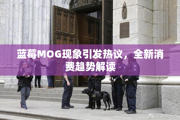 蓝莓MOG现象引发热议，全新消费趋势解读